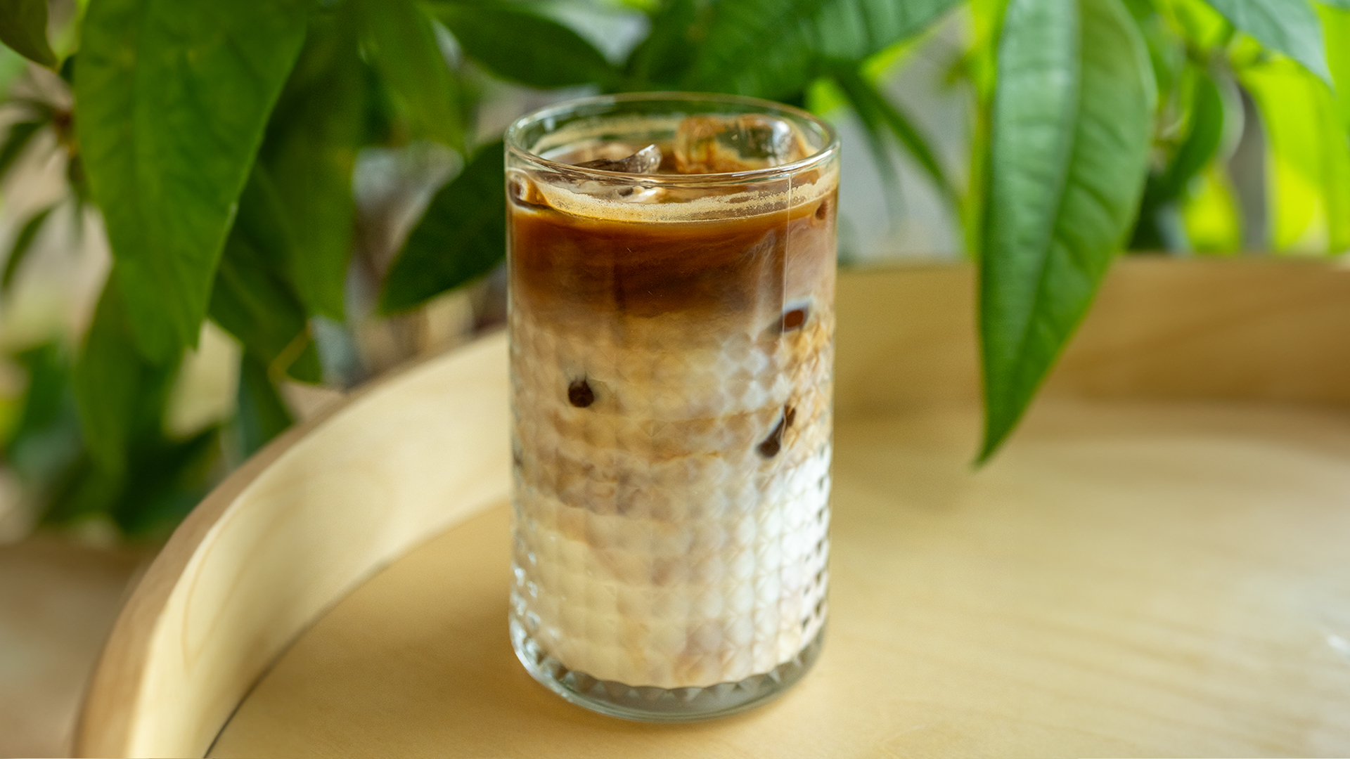 Ice Latte