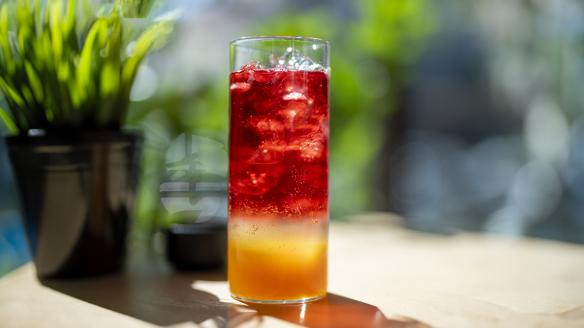 Passion Potion