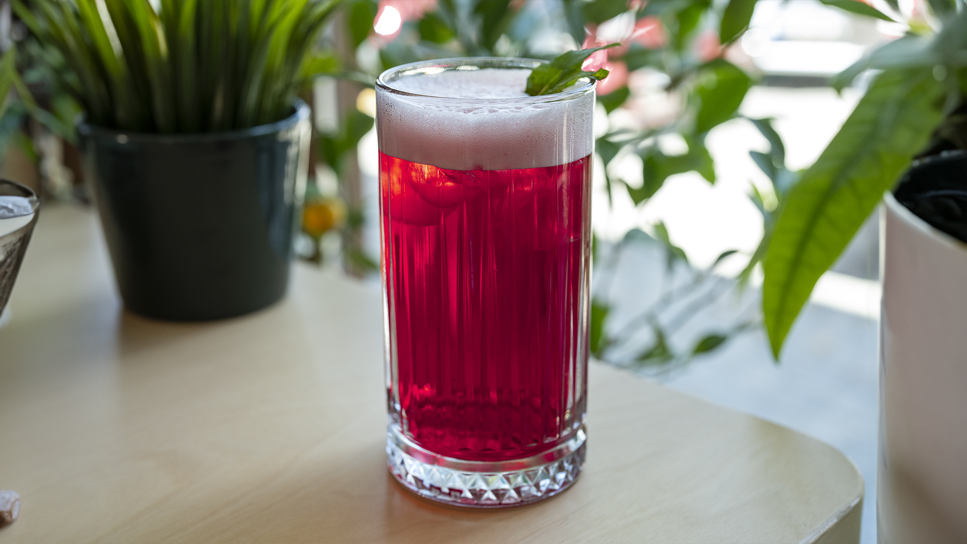 Berry Hibiscus