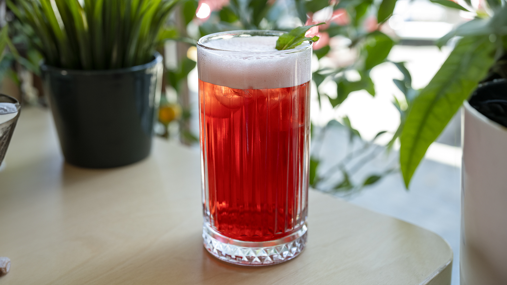 Pomegranate Ice Tea