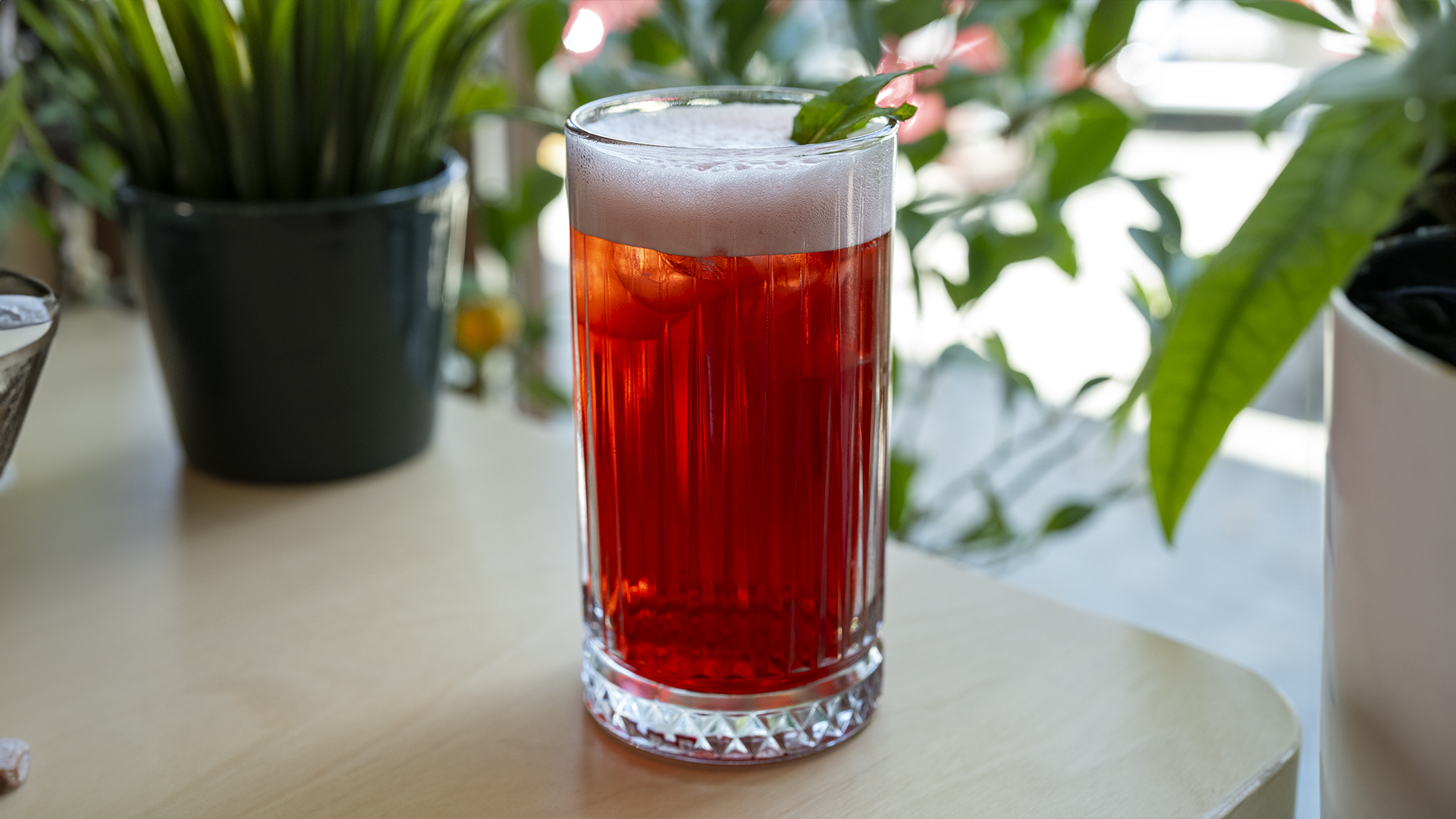 Watermelon Ice Tea