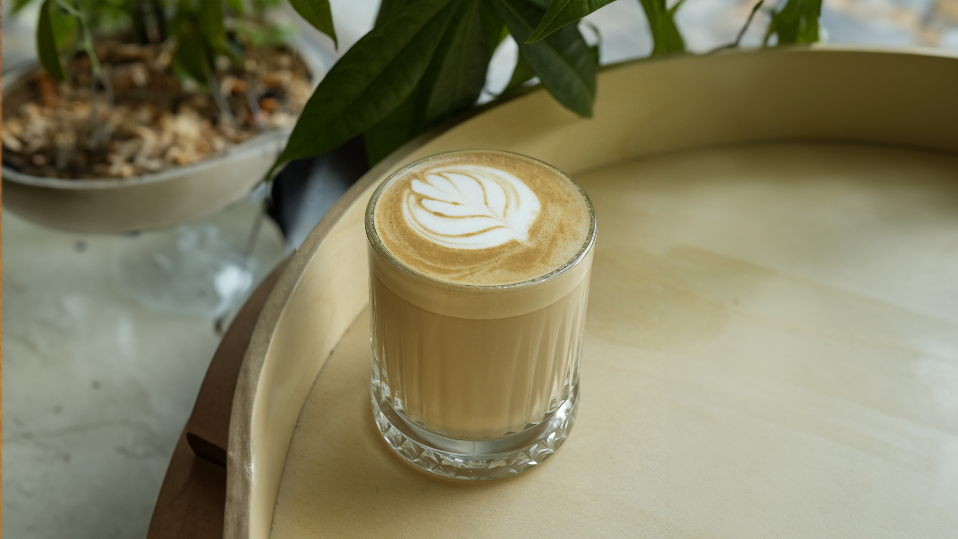 Cortado