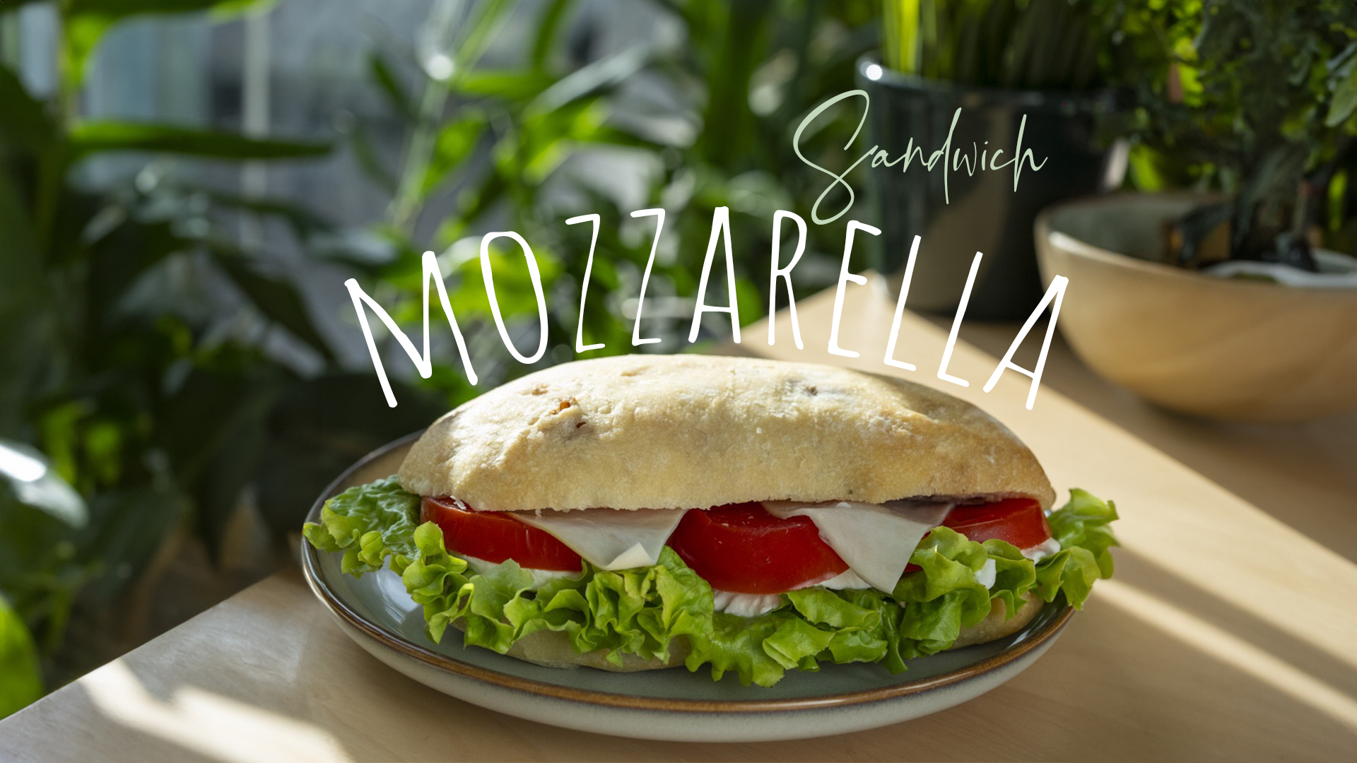 Mozzarella Sandwich