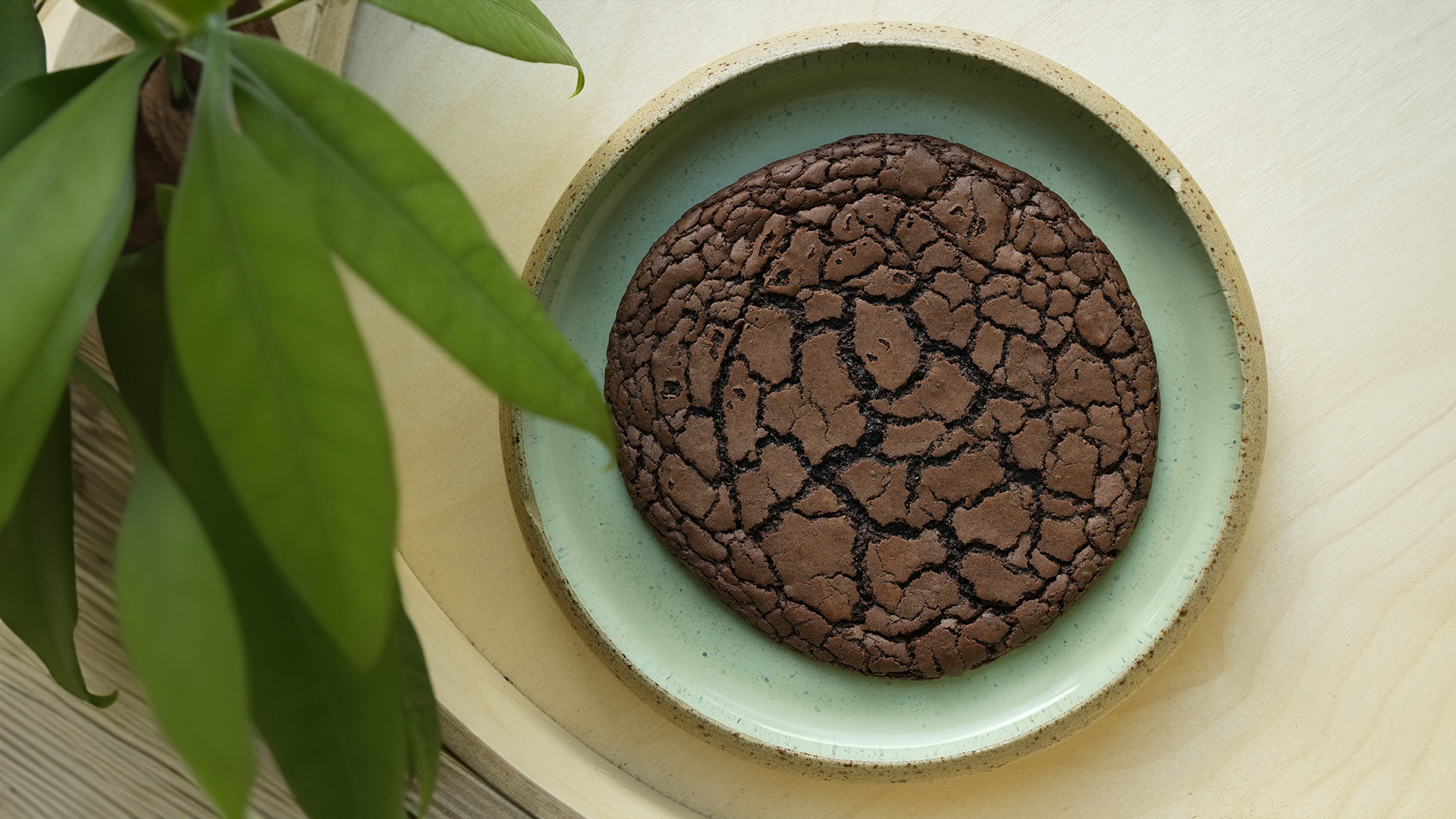 Brownie Cookie